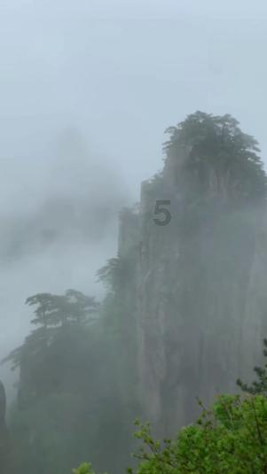 童话世界找不同