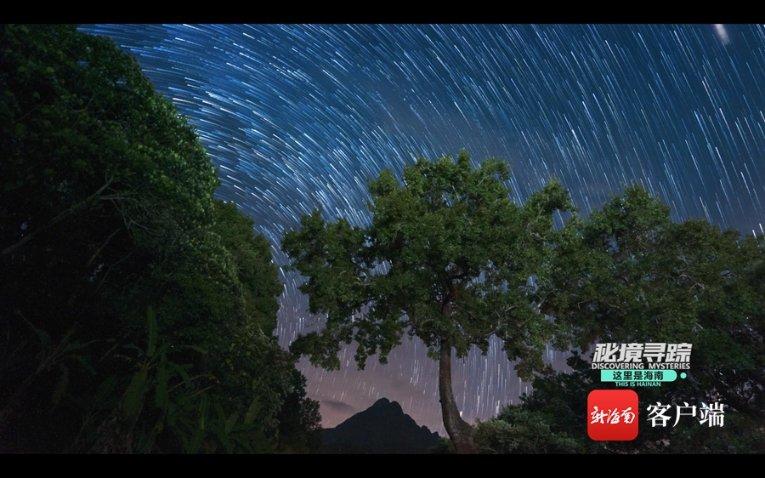 迷你拉力赛车