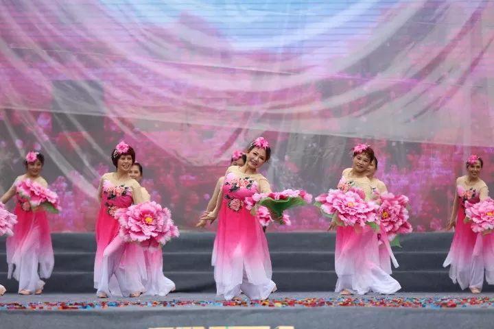 夏日时尚的爱丽