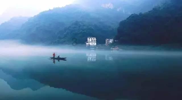 无休止的树