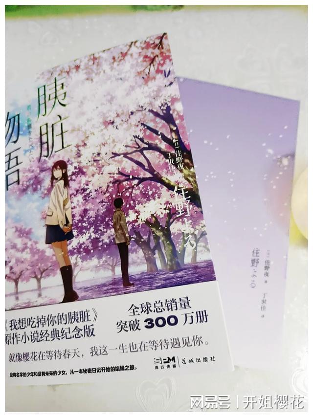 五彩猫碰碰碰