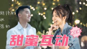 细胞分裂6