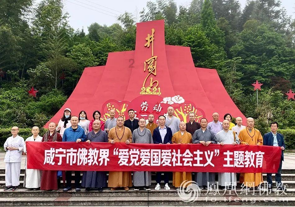救援可爱小猪仔