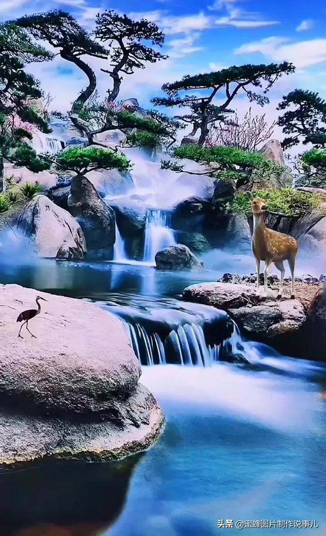 小猫钓鱼正版下载中文版