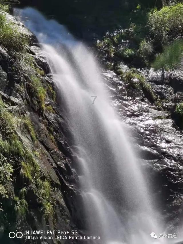 虫虫助手下载