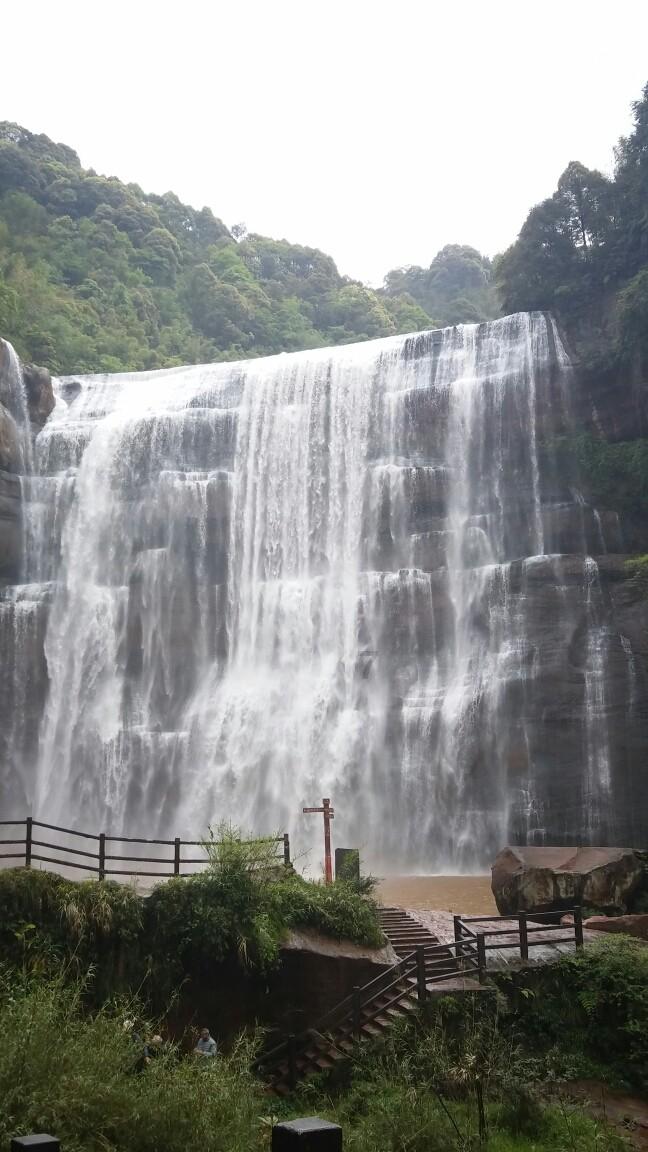 春雨直播app