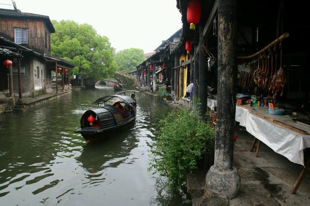 “陇东粮仓”展现新作为