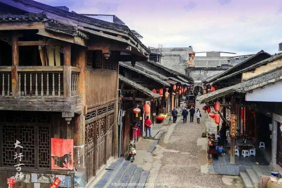 小猫钓鱼正版下载中文版