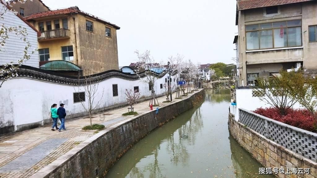 (新春见闻)重庆“年味”渐浓 一派年货采购繁忙景象